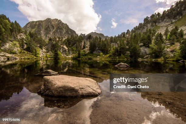 el petit estany del berger - petit fotografías e imágenes de stock