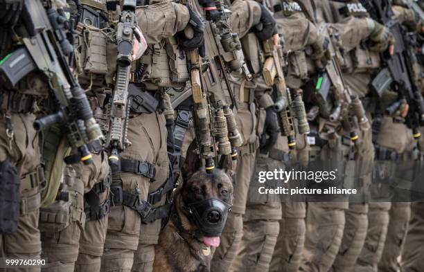 The police dog "Whiskey" stretches briefly during a drill of the elite police commando SEK in Frankfurt am Main, Germany, 8 September 2017. The dog...