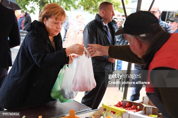 Dpatop - German chancellor Angela Merkel buys Serbian plums and local tomatos from the vegetable salesman Hans-Christian Oehlckers at the Fruit trade...