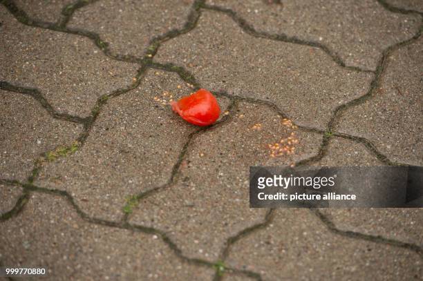 Tomato is on the floor during a CDU election campaign event in Wolgast, Germany, 08 September 2017. Photo: Stefan Sauer/dpa