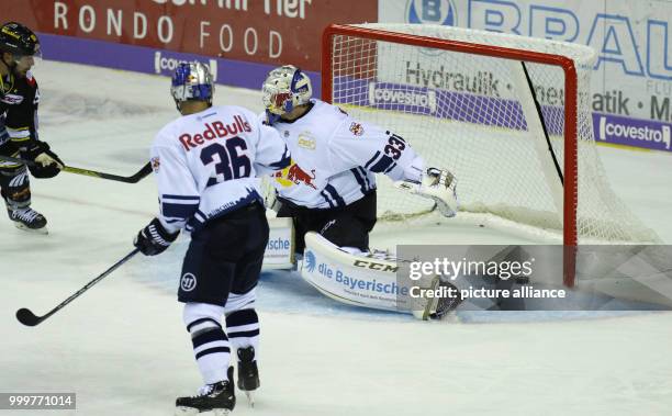 Krefeld's Martin Schymanski scores the 2:1 for his side during the icehockey first league game between Krefeld Penguins and EHC Red Bull Munich in...