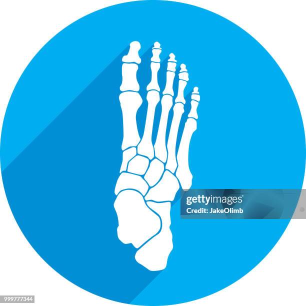 foot bones icon silhouette - foot stock illustrations