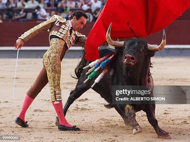 Spanish matador Manuel Jesus "El Cid" makes a pass on a bull at Las Ventas bullring during the San Isidro Feria in Madrid on May 18, 2010. AFP PHOTO...