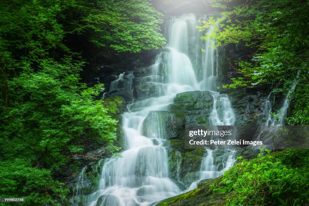 Torc waterfall, Ring of Kerry, Ireland