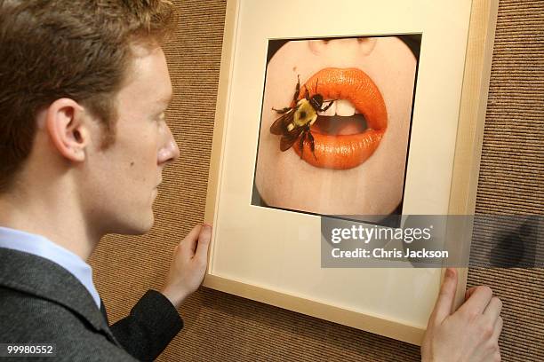 Christies employee adjusts a photogrpah entitled 'Bee' by Irving Penn at Christie's South Kensington on May 19, 2010 in London, England. The...