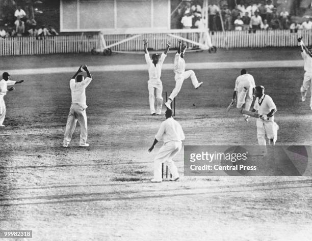 The West-Indian team celebrates as Australia's Ian Meckiff is run out with only two balls to go, during the First Test at Brisbane, Australia, 19th...