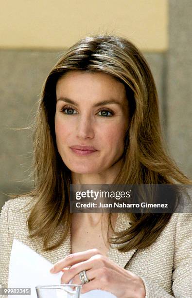 Princess Letizia of Spain attends an audience with 'Principe de Girona' Foundation team at La Zarzuela Palace on May 19, 2010 in Madrid, Spain.