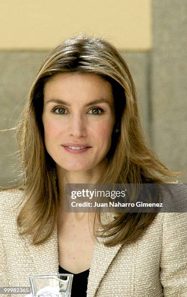 Princess Letizia of Spain attends an audience with 'Principe de Girona' Foundation team at La Zarzuela Palace on May 19, 2010 in Madrid, Spain.