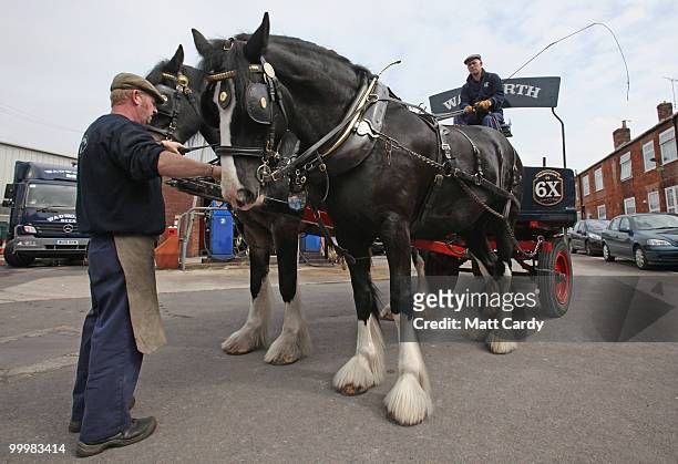 Head horseman Barry Petherick and horseman Martin Whittle arrive back at the brewery stables after they have delivered beer to local pubs using Shire...