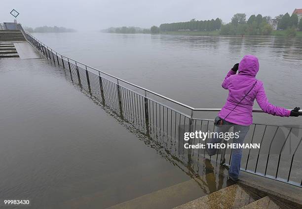 Woman walks in the flood water at the banks of the River Oder in the eastern German city of Frankfurt/Oder on the German-Polish border on May 19,...