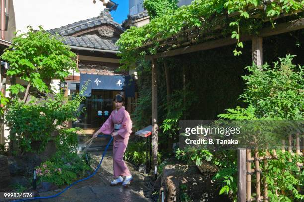 traditional restaurant garden at senso-ji temple in the downtown asakusa district of tokyo, japan - distriktet taito bildbanksfoton och bilder