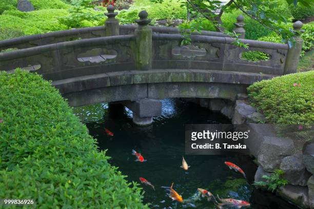 stone bridge and koi carp in temple garden at senso-ji in the old asakusa district of tokyo, japan - tanaka stockfoto's en -beelden