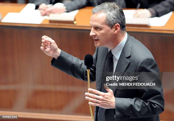 French Agriculture Fisheries and Food Minister Bruno Le Maire addresses deputies during the session of questions to the government on May 19, 2010 at...