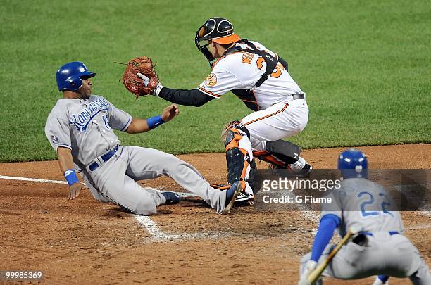 Alberto Callaspo of the Kansas City Royals slides into home plate ahead of the tag of Matt Wieters of the Baltimore Orioles at Camden Yards on May...