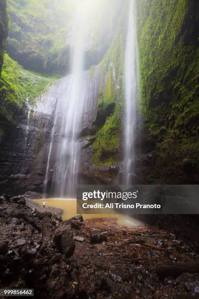 grand view of madakaripura waterfal, part of bromo national park - tengger stock pictures, royalty-free photos & images