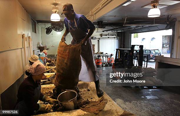 Workers shell oysters at the P&J Oyster Company on May 19, 2010 in New Orleans, Louisiana. The company, which sells some 60,000 oysters per day to...