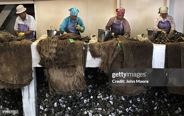 Workers shell oysters at the P&J Oyster Company on May 19, 2010 in New Orleans, Louisiana. The company, which sells some 60,000 oysters per day to...