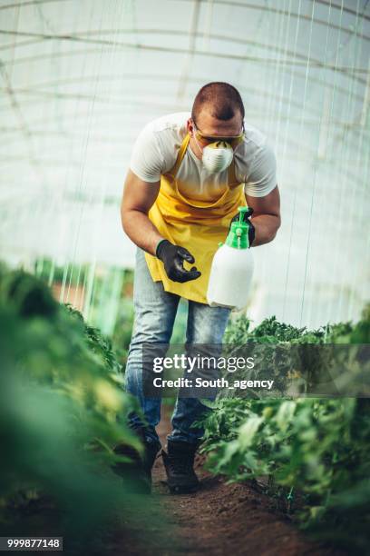 plantas de pulverización de granjero - alimento genéticamente modificado fotografías e imágenes de stock