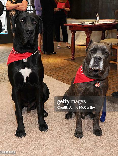 Atmosphere at a book reading event in Manhattan's Meatpacking District, actor and dog owner Taye Diggs shared 'tails' from the newly released ALPO...