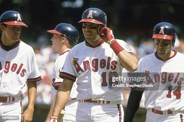 Luis Sojo of the California Angels looks on during the game against the Kansas City Royals at Anaheim Stadium on June 14, 1992 in Anaheim, California.