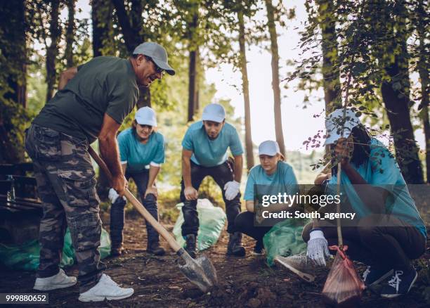 personas plantando árboles en el parque - south_agency fotografías e imágenes de stock