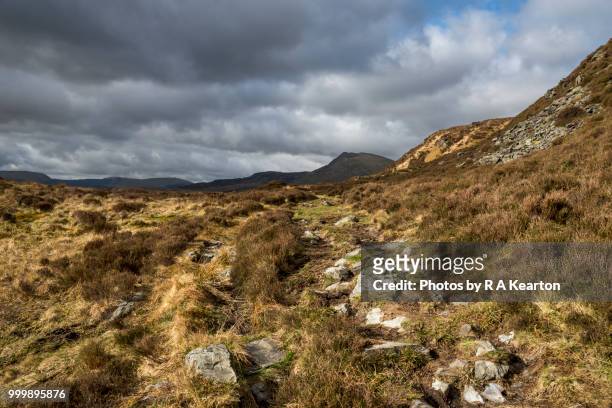 moel siabod, snowdonia national park, north wales - capel curig stock pictures, royalty-free photos & images