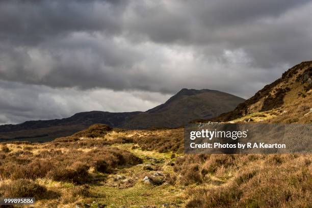 moel siabod, snowdonia national park, north wales - capel curig stock pictures, royalty-free photos & images