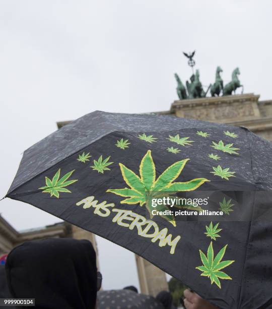 Man carries an umbrella with images of marijuana leaves in front of the Brandenburg Gate in Berlin, Germany, 9 September 2017. Photo: Paul Zinken/dpa