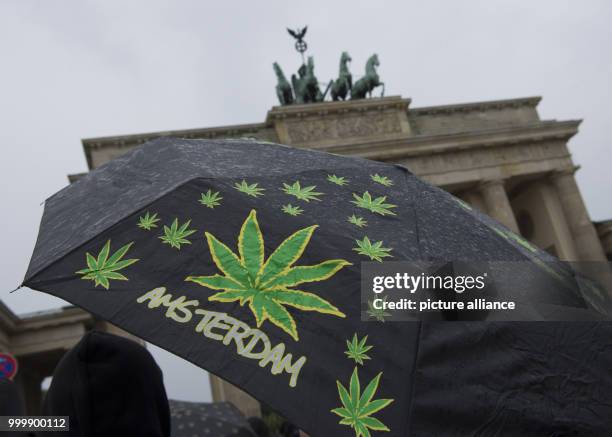 Man carries an umbrella with images of marijuana leaves in front of the Brandenburg Gate in Berlin, Germany, 9 September 2017. Photo: Paul Zinken/dpa