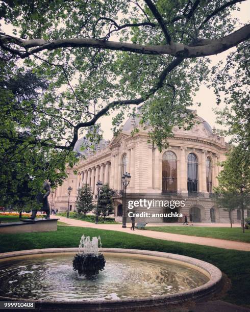 le petit palais, museo y parque con poca gente caminando bajo la lluvia ligera - petit fotografías e imágenes de stock