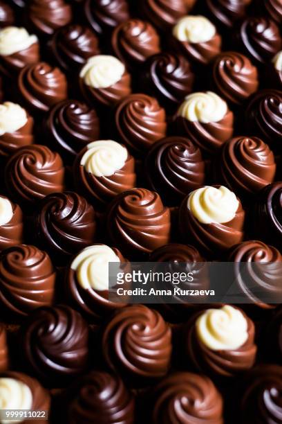 premium collection of dark, milk and white chocolate sweets, selective focus. chocolate background. macro food photography. collection of candies. - anna stock-fotos und bilder