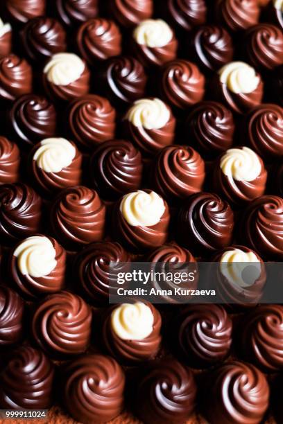 premium collection of dark, milk and white chocolate sweets, selective focus. chocolate background. macro food photography. collection of candies. - anna stock-fotos und bilder