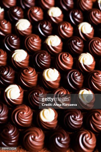premium collection of dark, milk and white chocolate sweets, selective focus. chocolate background. macro food photography. collection of candies. - anna imagens e fotografias de stock