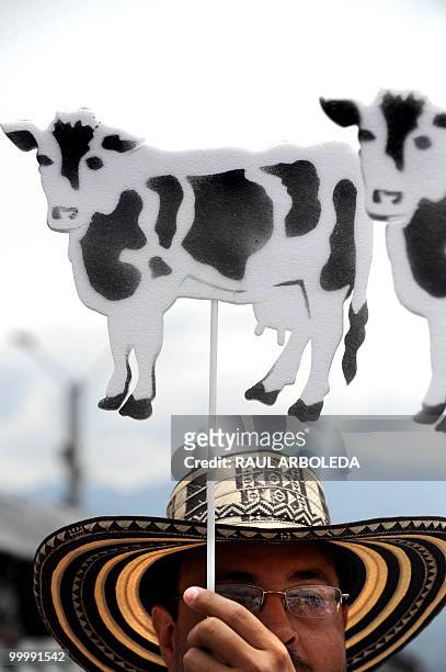 Dairy farmers demonstrate on May 19, 2010 in Medellin, Antioquia department, Colombia, against a free trade agreement signed with the European Union...