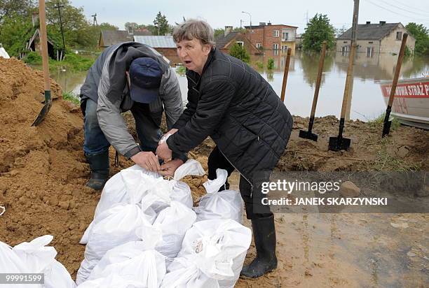 An elderly lady helps to fill sandbags as they set up a fence in the flooded district of Sandomierz, central Poland, on May 19, 2010. The floods...