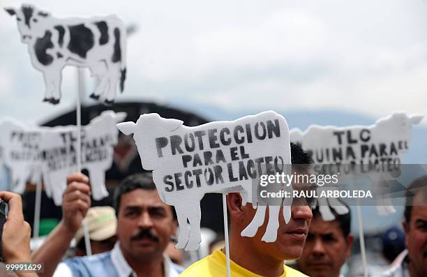 Dairy farmers demonstrate on May 19, 2010 in Medellin, Antioquia department, Colombia, against a free trade agreement signed with the European Union...