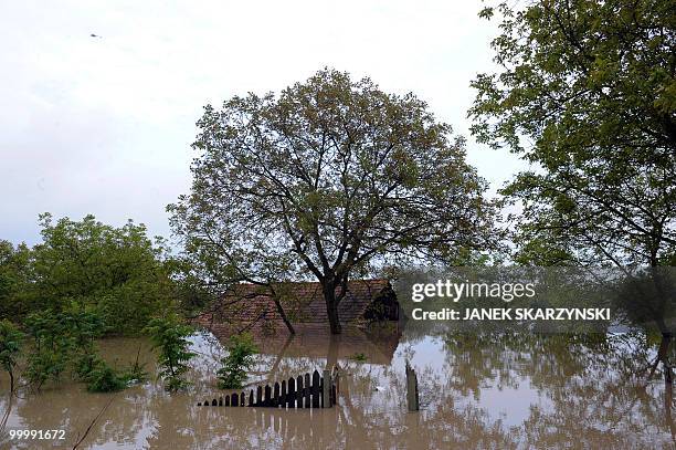 View of a flooded house in the district of Sandomierz, central Poland, on May 19,2010. The floods striking southern Poland could delay next month's...