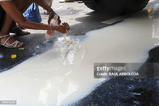 Man collects milk spilled on the ground after dairy farmers distributed free milk during a demonstration on May 19, 2010 in Medellin, Antioquia...