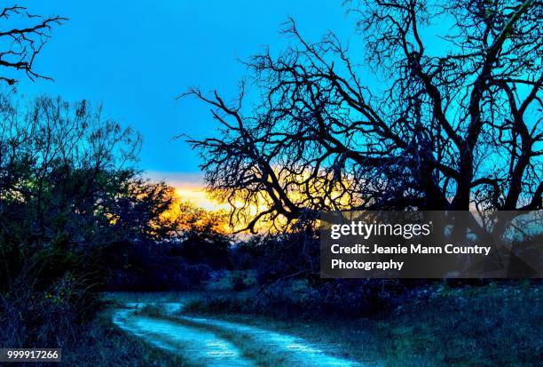 twilight lane - jeanie stock pictures, royalty-free photos & images