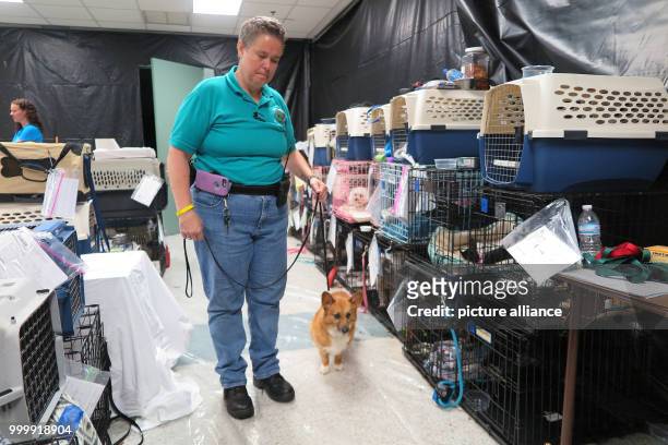Susan Eisenreich takes her dog 'Casey' for a walk in a gym in Palm Beach County, US, 9 September 2017. Tens of thousands of people have to flee from...