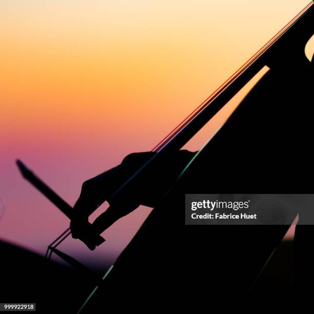 violon - fabrice stock pictures, royalty-free photos & images