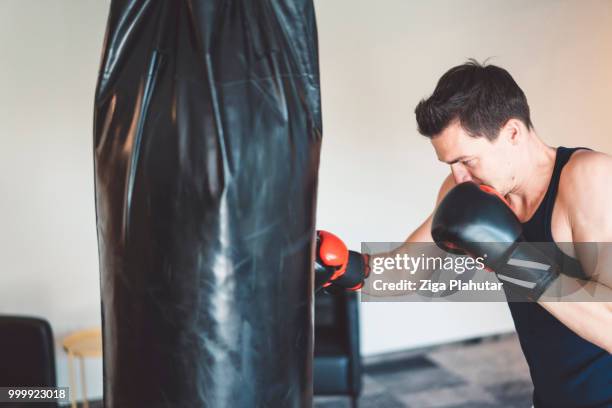 boxing session - ziga plahutar stock pictures, royalty-free photos & images