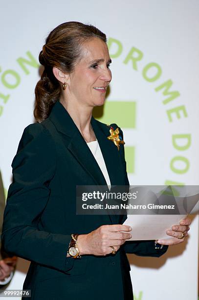 Princess Elena of Spain attends the International Arts Awards by people with downs syndrome at Centro Cultural El Aguila on May 19, 2010 in Madrid,...