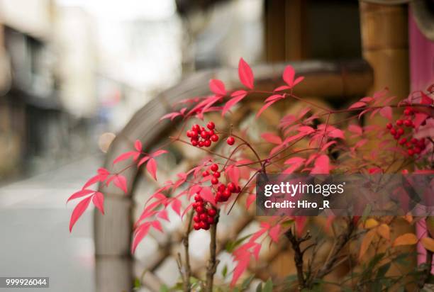 13,069 Hiro Stock Photos, High-Res Pictures, and Images - Getty Images