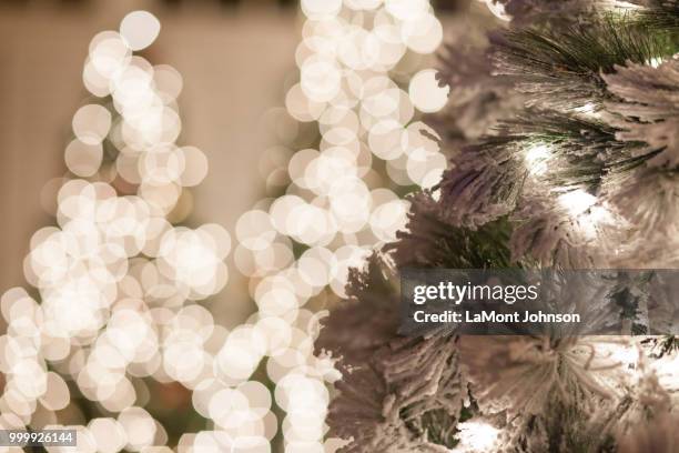 holiday lights - lamont johnson - fotografias e filmes do acervo