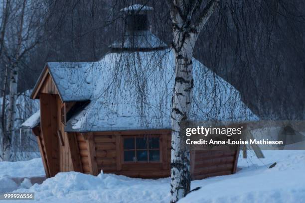 little cabin in the snow. - anna stockfoto's en -beelden
