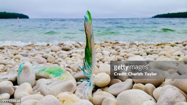 school house beach, washington island, wisconsin - rappresentazione di animale foto e immagini stock