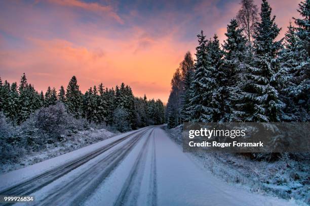 winter landscape - roger fotografías e imágenes de stock