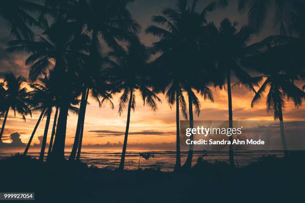 siargao, philippines - ahn stock pictures, royalty-free photos & images