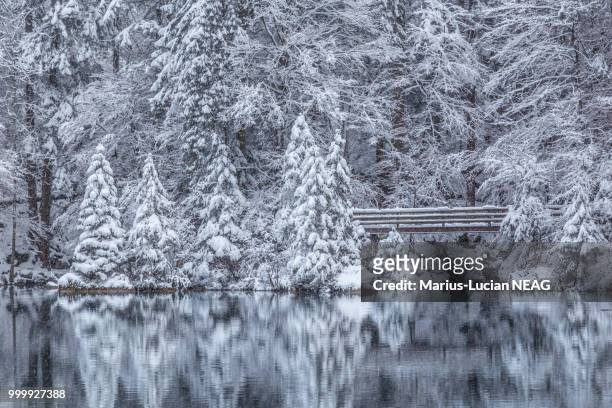 winter at blausee - blausee stock-fotos und bilder